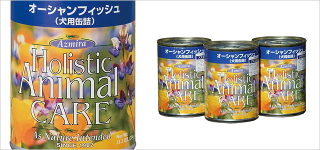 �A�Y�~���E���p�ʋl�I�[�V�����t�B�b�V���i�S�N��Ή��j