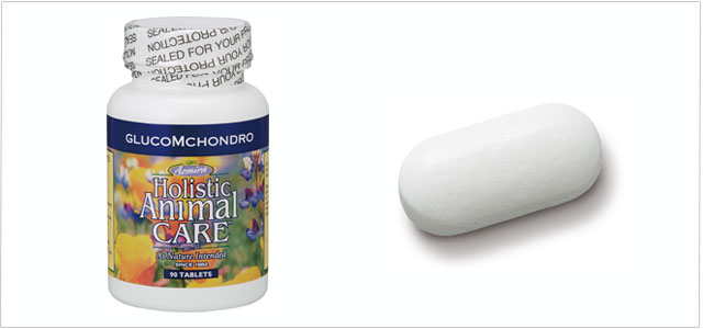 �A�Y�~���E�O���R�T�~���l�r�l�R���h���C�`���i���A�L�p �T�v�������g�j