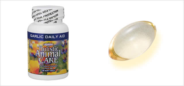 �A�Y�~���E�K�[���b�N�f�C���[�G�C�h�i���A�L�p �T�v�������g�j