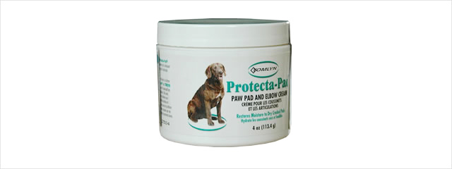 �v���e�N�^�p�b�h�i�����̕ی�Ɂj