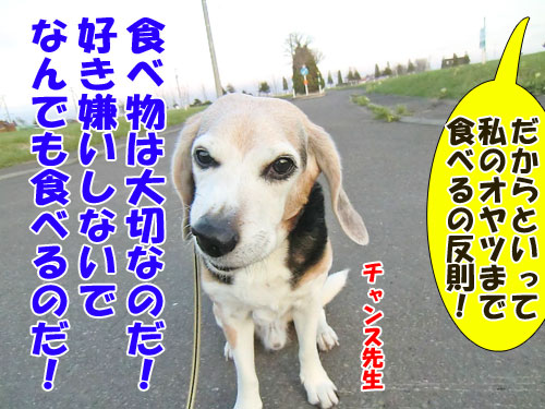 ���̃A�g�s�[�ɂ���