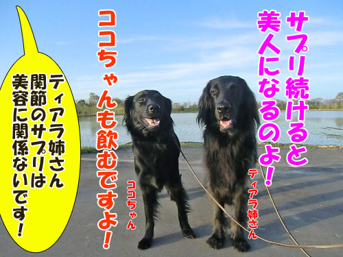 �֐߈ُ�Ƒ̏d����