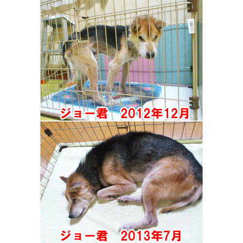 �W���[����