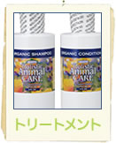 �A�Y�~���E�g���[�g�����g