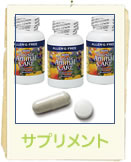 �A�Y�~���E�T�v�������g