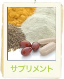 �r�f�i�v���_�N�c�E�T�v�������g