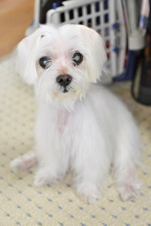 �˂˂����A�����܂���