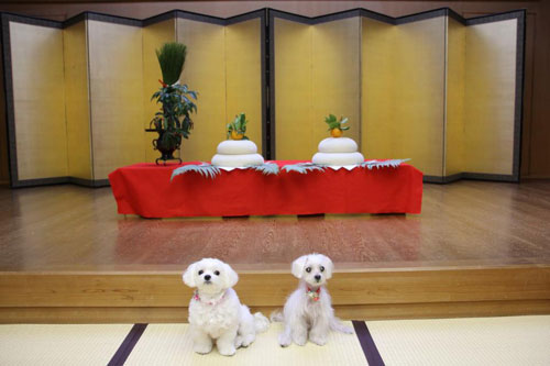 �˂˂����A���悿���A�V�N�̂����A�B