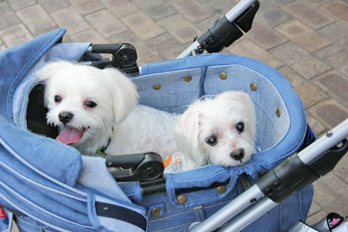 �Q�l�ł��o������