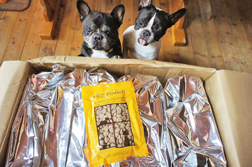 �S�n����O�ɖڂ��L���L����Buzz����Acookie�����B