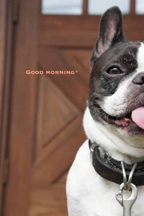 cookie�����