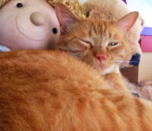 �R�}�`�����